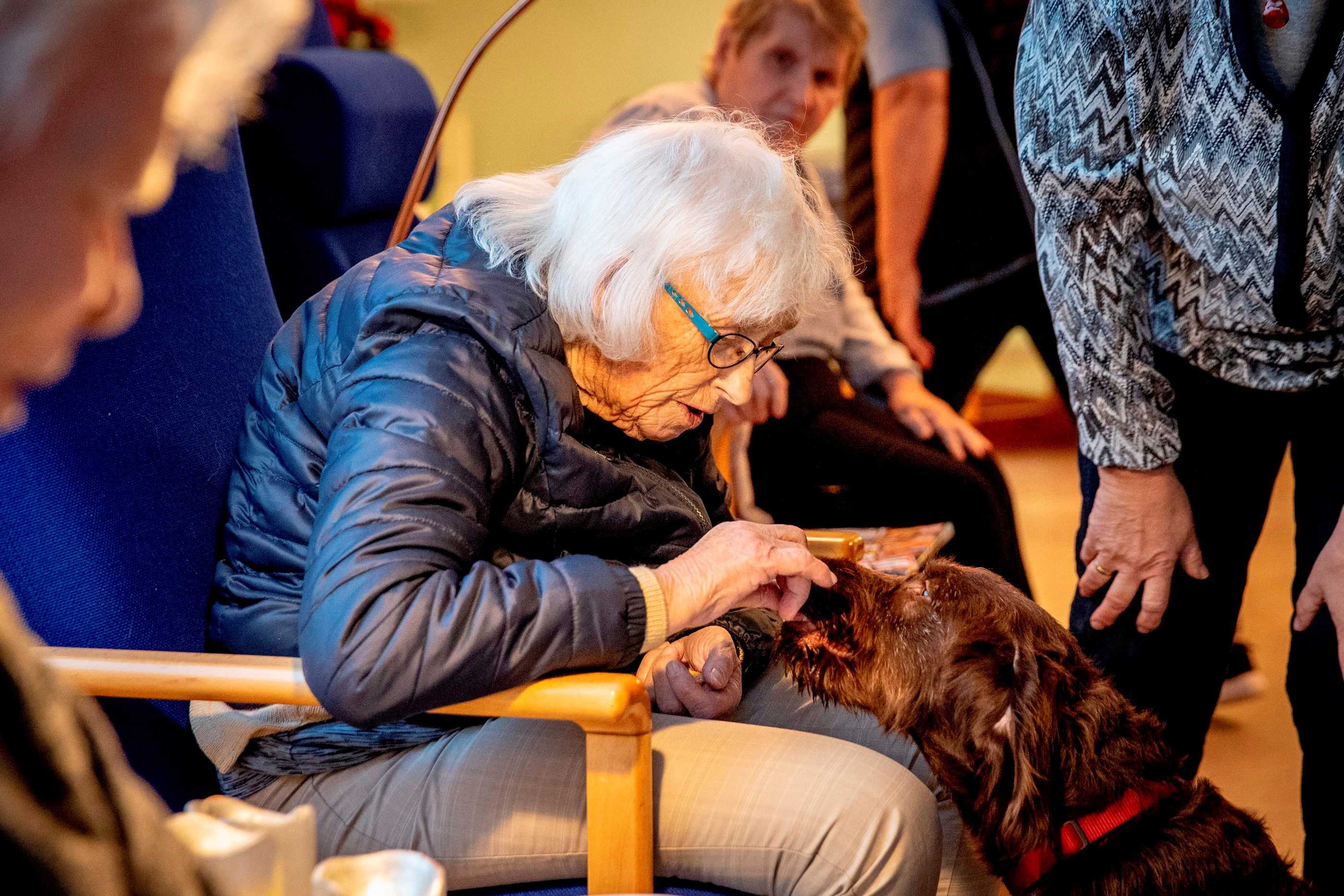 Dame sidder med besøgshund på daghjemmet Korinthvej